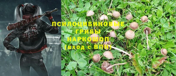 синтетический гашиш Белокуриха