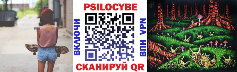 где продают   Жигулёвск  Галлюциногенные грибы Cubensis 